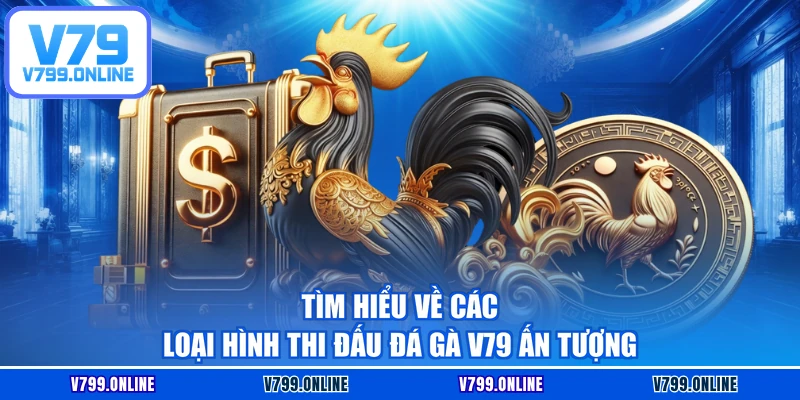 Tìm hiểu về các loại hình thi đấu đá gà V79 ấn tượng
